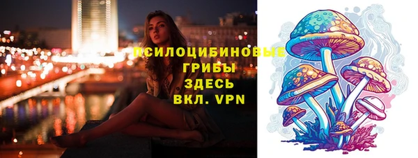 спиды Арсеньев