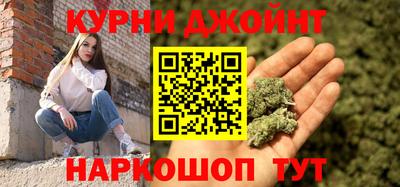 крисы Славгород