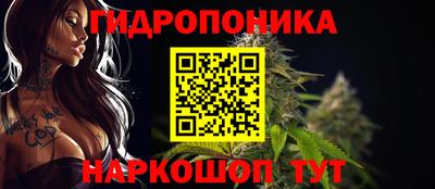 твердый Сланцы