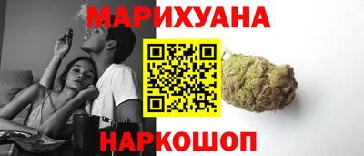 крисы Славгород
