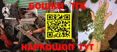 крисы Славгород