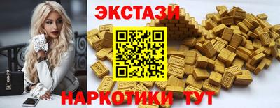 крисы Славгород