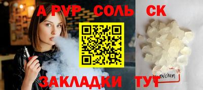 крисы Славгород