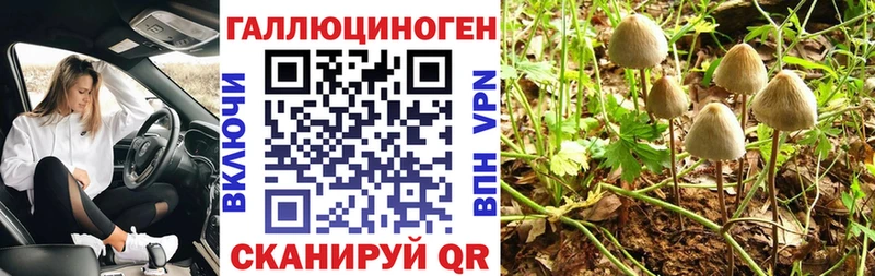Галлюциногенные грибы мицелий  наркошоп  Ногинск 
