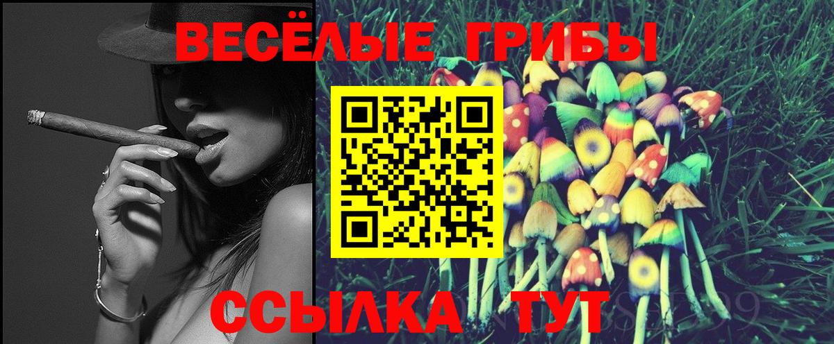 Псилоцибиновые грибы мухоморы  Вход с VPN  Ногинск 